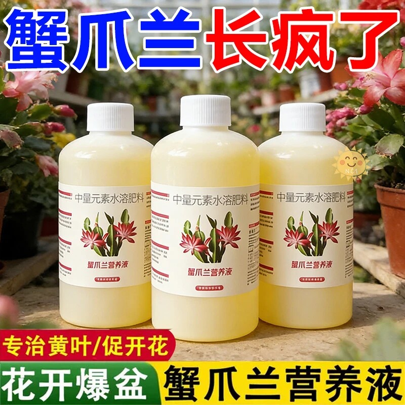 蟹爪兰专用营养液四季开花