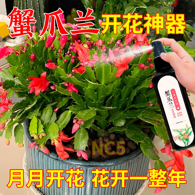 浓缩蟹爪兰营养液催花壮根爆盆专效防黄叶掉苞促生长绿叶四季通用