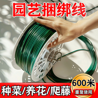 园艺多功能绑线果树绑枝带高韧性防锈防腐不伤茎藤蔓固定扎带家庭