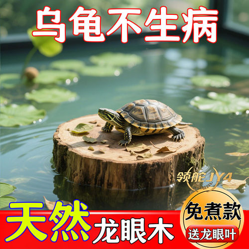 乌龟缸天然木质龙眼乌龟晒台爬坡装饰品全套乌龟龙眼叶防治龟病