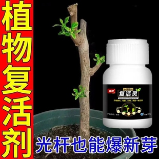 黄叶死苗复活灵枯萎烂根小叶花叶病叶生根壮苗剂植物复活剂养根