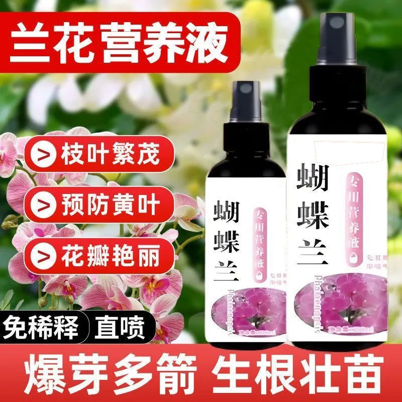 爆箭王蝴蝶兰营养液促花防烂根图片