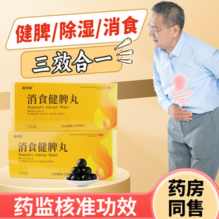 源药师消食健脾丸参苓白术除湿健脾丸脾胃虚弱消化不良大蜜丸正品