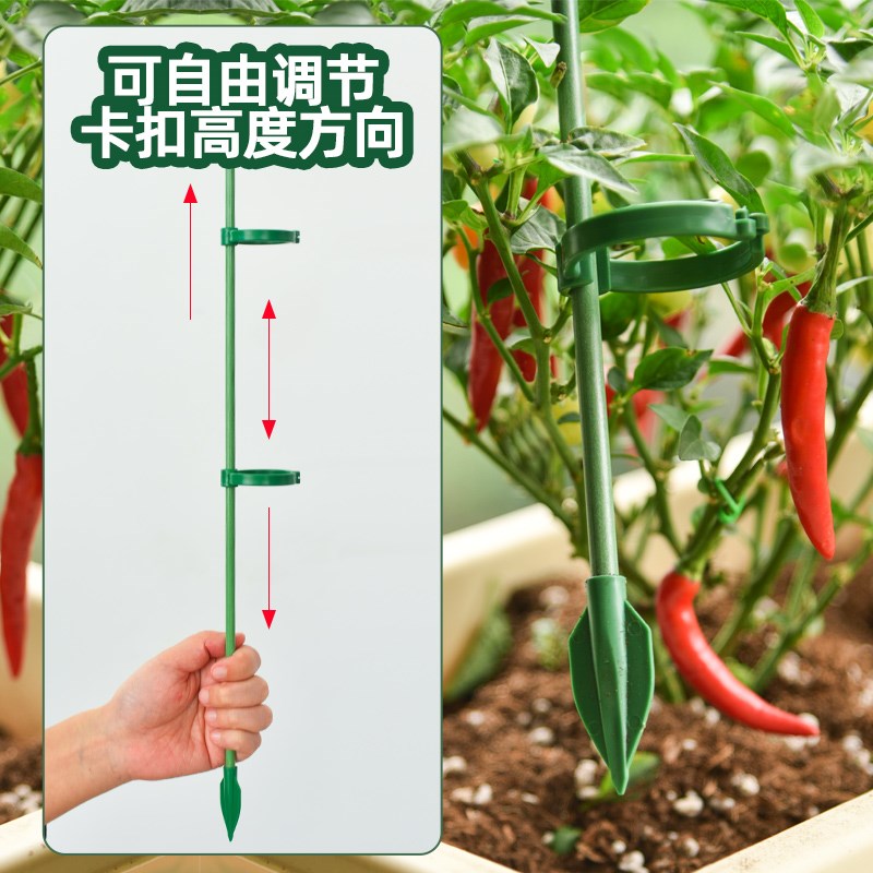 辣椒茄子番茄西红柿专用支撑架爬藤支撑杆防倒伏支架防倒固定支架