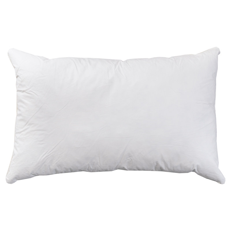 枕芯5%羽绒+95%羽毛/单人枕头一对装家用酒店式一个48x74耐用颈椎