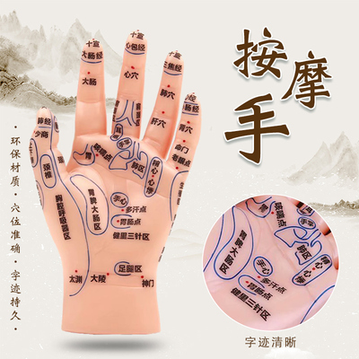 大号手部模型高清家用通络反射区模型手掌手背推拿针炙点穴位图型