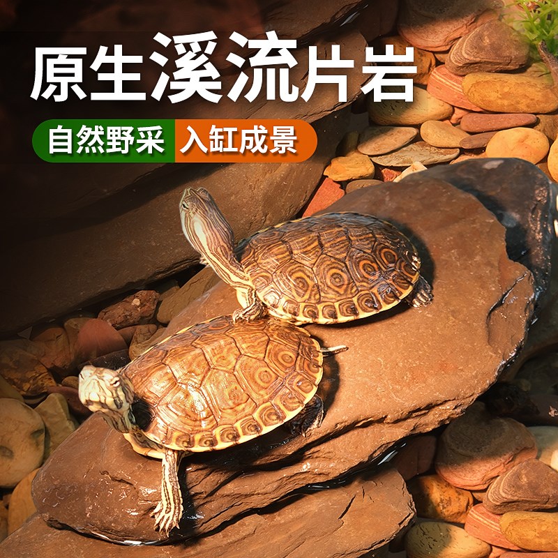 鱼缸造景底砂天然溪流沙装饰南美缸生态片石铺底石头乌龟缸火山石