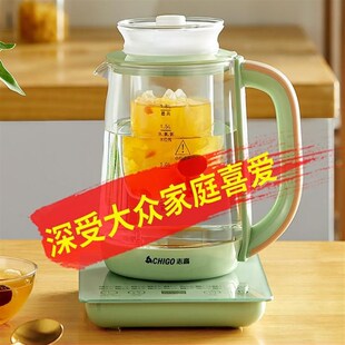 110v养生壶多功能自动防干烧泡茶电炖盅出口小家电智能恒温热水壶