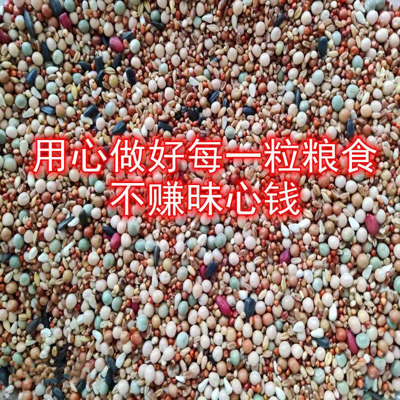 天貓優質好物/收藏加購=優先發貨