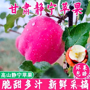 甘肃静宁红富士苹果脆甜多汁新鲜孕妇水果非冰糖心高山苹果整箱