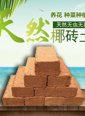 椰砖营养土椰糠椰土养花种菜基质通用型椰壳芽菜无土栽培基质650g