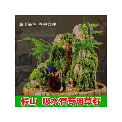 四季假山种子盆景珍珠草吸水专用