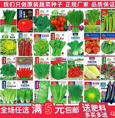 蔬菜种子四季播盆栽阳台庭院香菜生菜菠菜萝卜葱简单易种籽孑大全