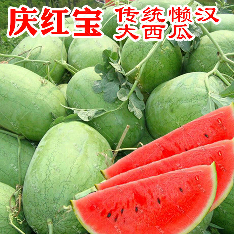 福祺少籽巨宝西瓜籽麒麟王懒汉巨型西瓜种子超大超甜春季禾之元孑
