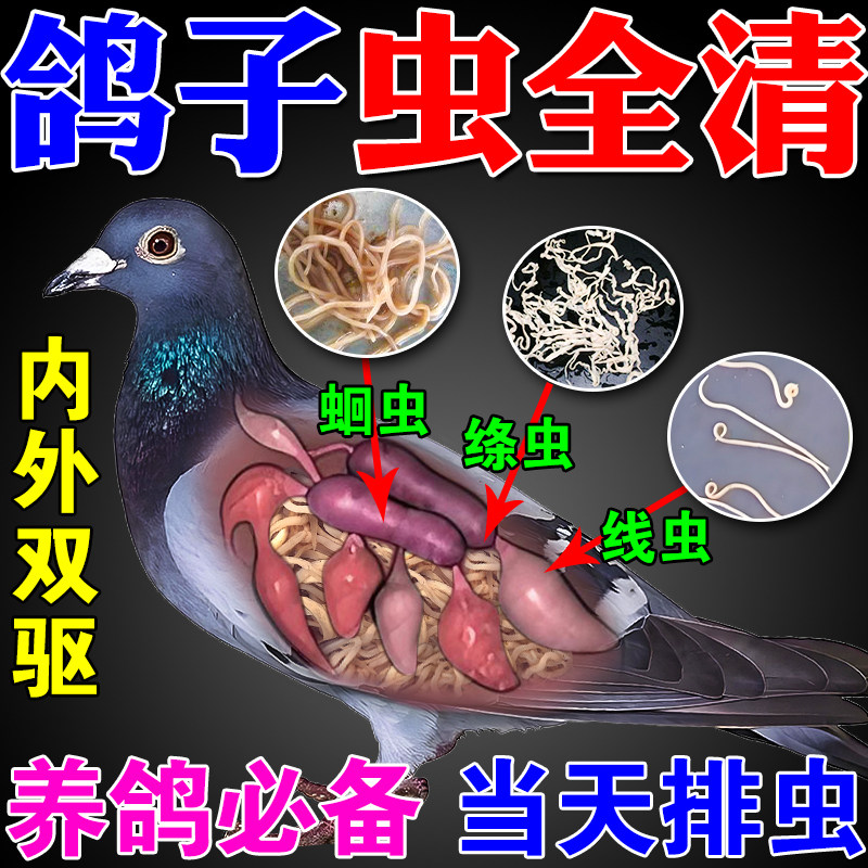 鸽虫清水剂鸽子体内外驱虫药全虫清鸽子专用药蛔虫线虫绦虫毛滴虫