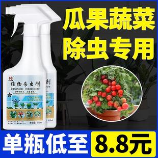 阳台种菜西红柿植物青菜草莓苗瓜果蔬菜除杀虫剂非无毒菜园专用药