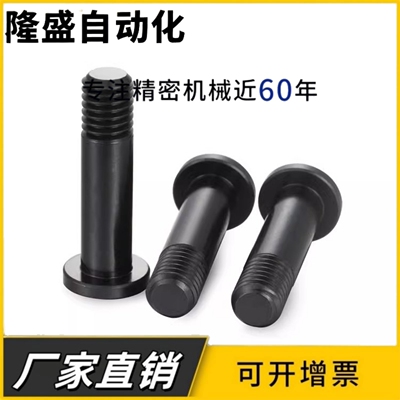 轴承止动销BGPL BGPML BGPSL BGSP BGSPM BGSPS 螺栓带肩型