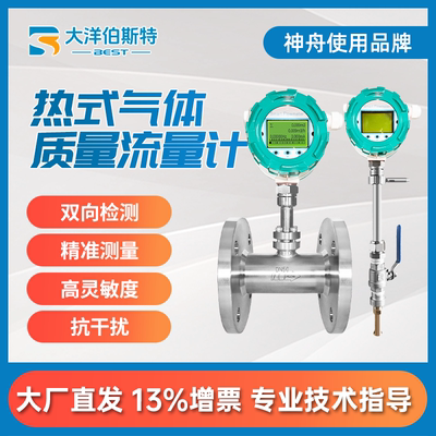 大洋伯斯特热式气体质量流量计气