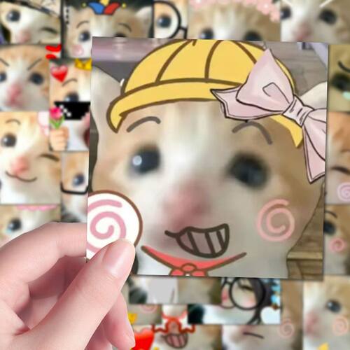 小猫表情包卷卷贴死爆款对头小猫表情包可爱meme萌宠创意手机贴画