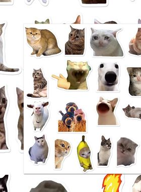 爆款猫meme贴纸沙雕搞笑抽象表情包ins风网红趣味创意笔记本贴画