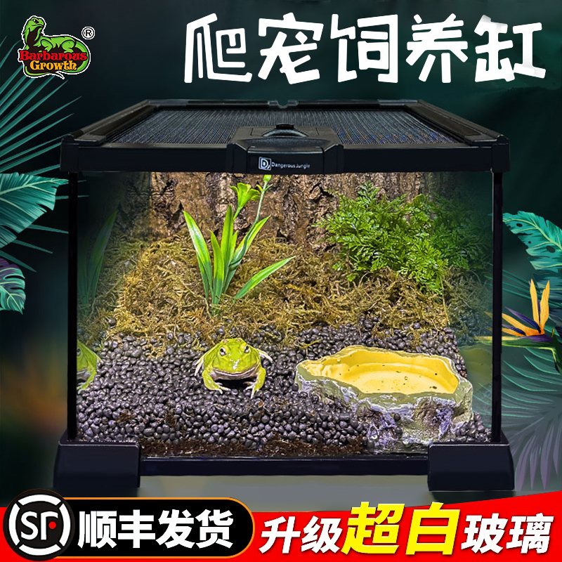 BG角蛙专用生态造景雨林缸