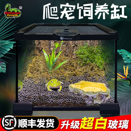 BG角蛙专用生态造景雨林缸