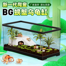 寄居蟹饲养箱套餐带晒台爬台家用客厅别墅亚克力生态养螃蟹相手蟹