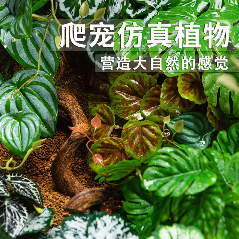 仿真植物爬宠造景地瓜叶龟背叶