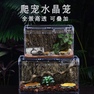 爬宠生态造景水陆缸宠物爬虫饲养箱雨林缸角蛙蜘蛛守宫蜥蜴饲养盒