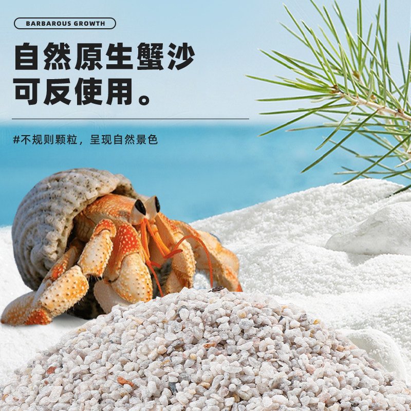 天然蟹沙寄居蟹专用沙砂菲律宾珊瑚沙贝壳砂鱼缸造景底沙白海细沙