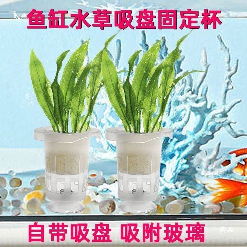 水草沉底盆制氧金鱼缸里的水草固定神器沉底吸盘底座水培固定种植