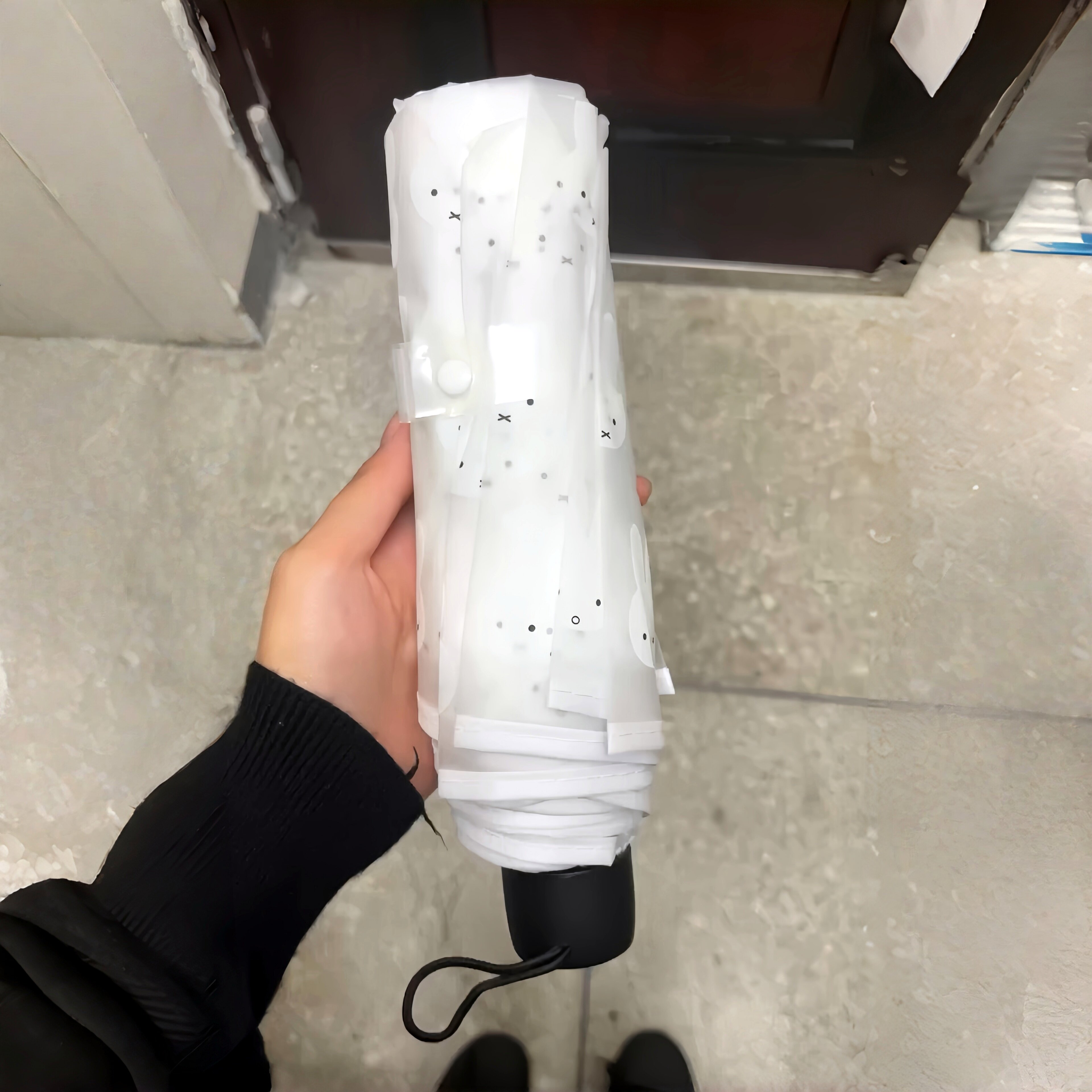 兔的世界一直下胡萝卜米菲兔雨伞图片