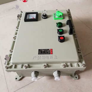 BT4防爆控制箱变频器调速现场远程DCS事故风机马达启停防爆配电箱