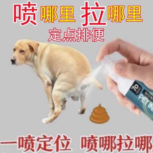 德国专研狗狗定点排便神