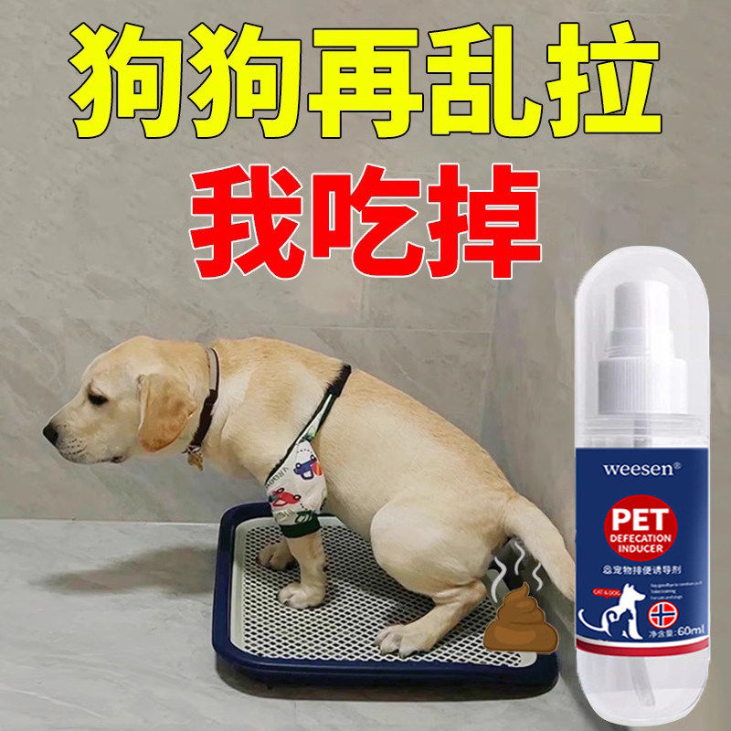 【德国专研】狗狗定点排