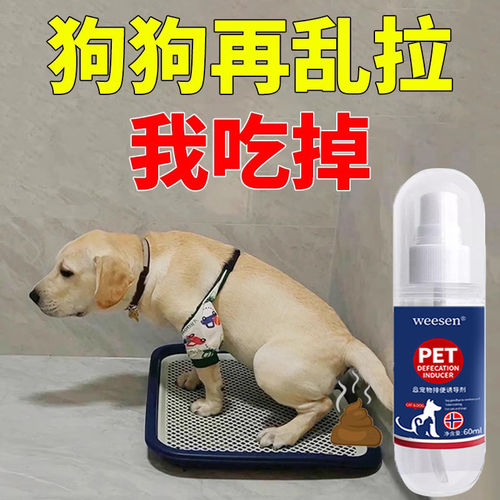 【德国专研】狗狗定点排