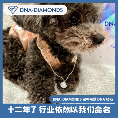 加拿大DNA-DIAMONDS培育宠物生命钻石纪念钻戒毛发DNA钻石项链