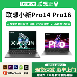 小新 Lenovo联想笔记本电脑小新Pro14 联想 Lenovo 小新16 air15