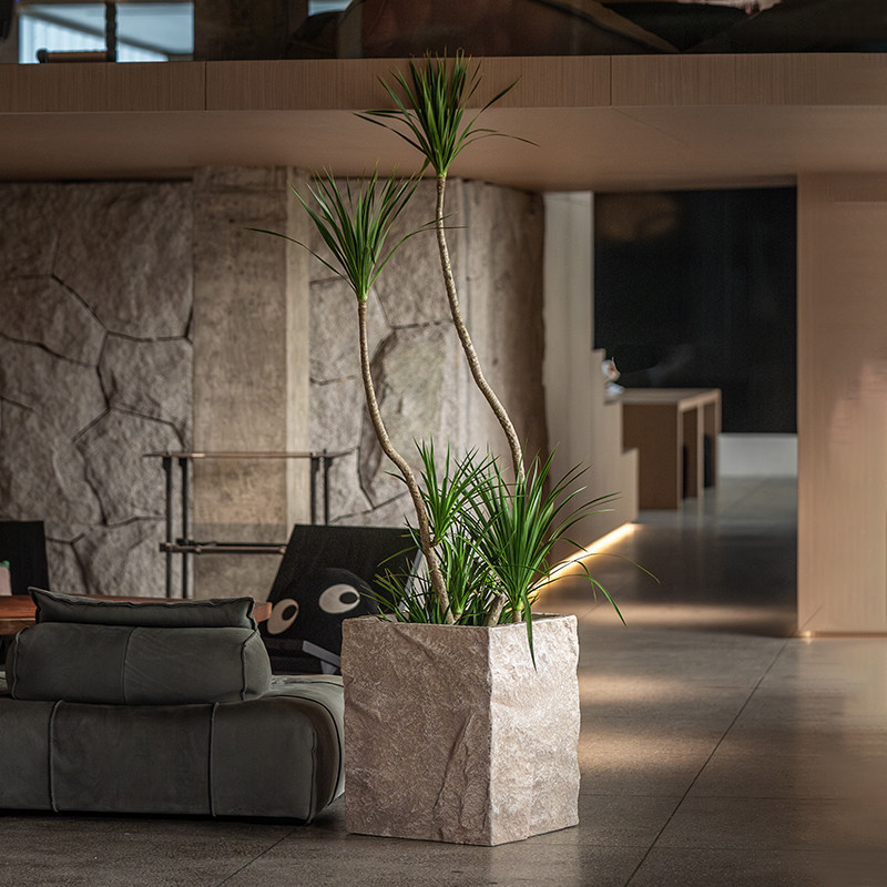 森空间植物盆石纹花盆大型高档