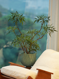 采购产品森空间人造花,高端写实植物,大型盆栽植物,室内桌面装