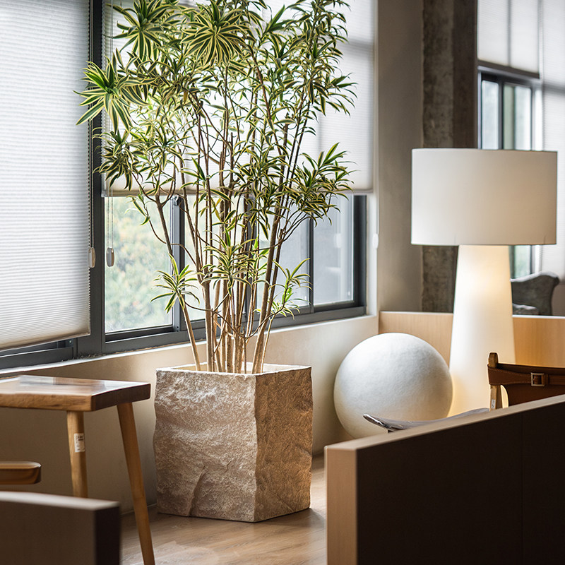 森空间植物盆石纹花盆大型高档轻奢软装搭配水泥盆别墅咖啡店摆件