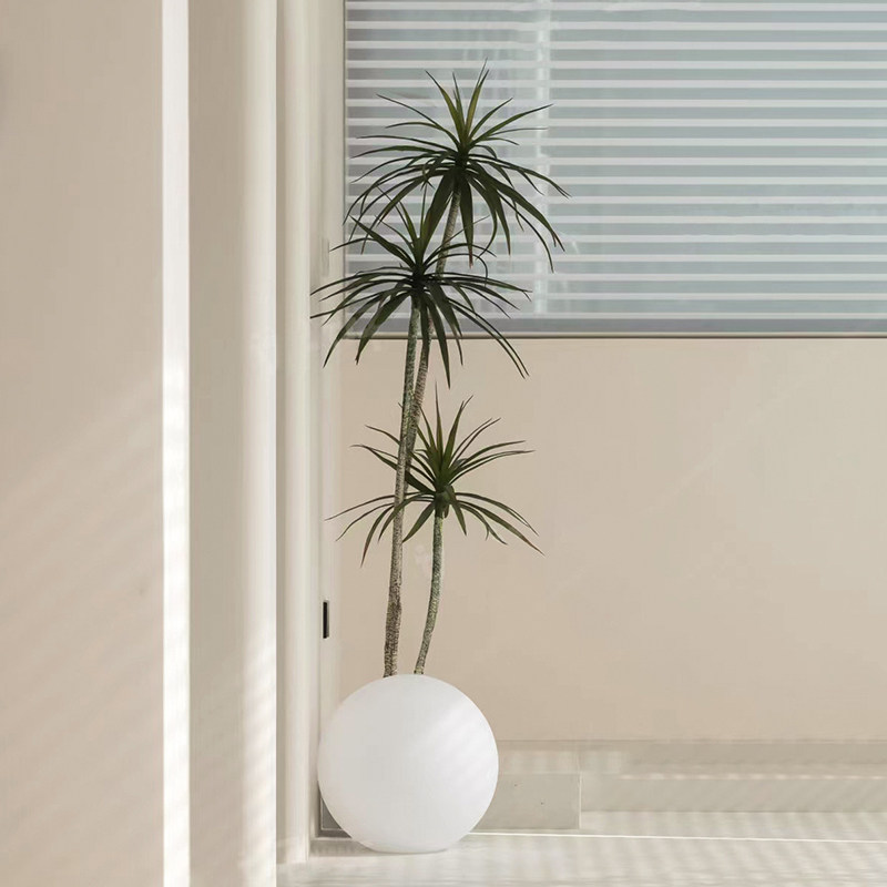 森空间仿真千年木造型可调整