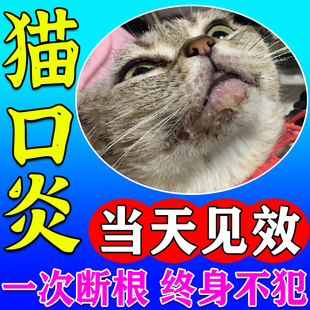 猫口炎特效猫咪流口水牙龈红肿烂嘴口腔消炎清洁除臭专用药口服液