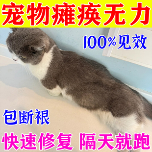 猫狗神经焱营养液特效狗狗关节疼痛后腿无力腿瘸抽搐瘫痪神经修复