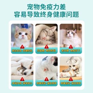 中加得猫条孕幼猫猫饭增肥发腮成猫妙鲜包免疫营养补钙奖励零食包