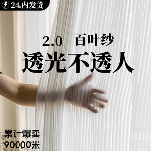竖百叶纱帘透光不透人薄纱幻影纱飘窗客厅卧室遮光窗帘 2025新款