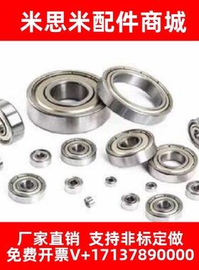 米制/深沟滚珠小球轴承B6805ZZ/B6905Z/B6005ZZ/B6205ZZ/B6305ZZ