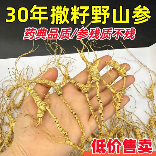 高年份林下籽货30年参送老人礼物