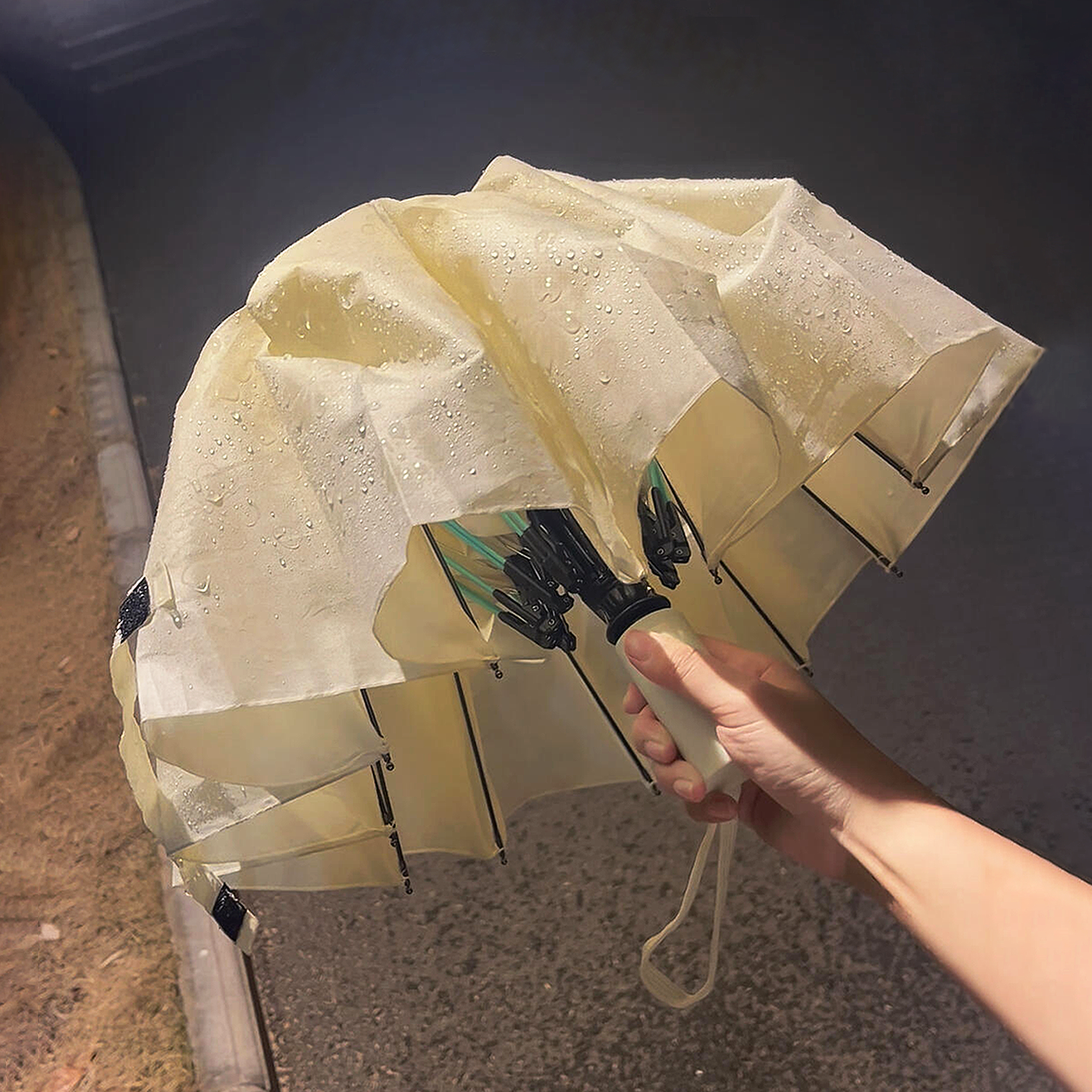 遇水开花雨伞女生高颜值小巧便携加大加厚加固晴雨两用防晒自动伞