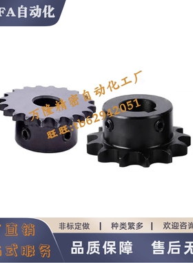 链轮VLN02-100-10 11 12 13 14 15 16 17 18 19 20 21-D25D28~D60